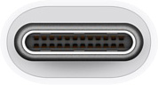 Адаптер Apple USB-C/USB [MJ1M2ZM/A]