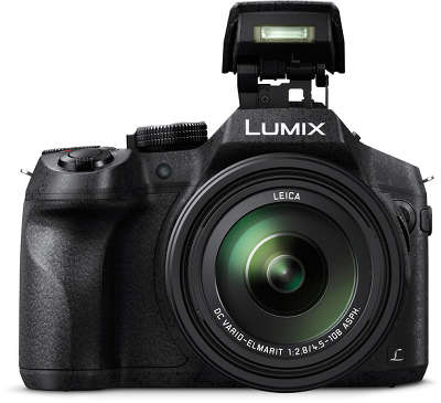 Цифровая фотокамера Panasonic Lumix DMC-FZ300 черный