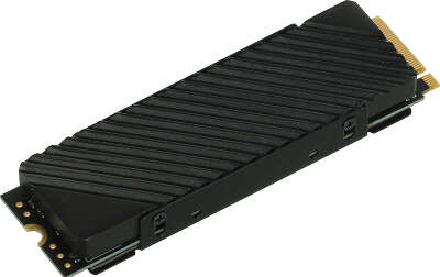 Твердотельный накопитель NVMe 1Tb [DGST4001TG33T] (SSD) Digma