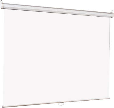 Экран настенный Lumien Eco Picture 150х150 LEP-100101
