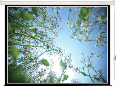 Экран с электроприводом Lumien Eco Control 125x200 см (раб. область 119х194 см) Matte White [LEC-100114]