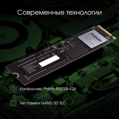 Твердотельный накопитель NVMe 1Tb [DGPST5001TP6T4] (SSD) Digma Pro Top P6