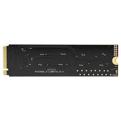 Твердотельный накопитель NVMe 1Tb [EX295281RUS] (SSD) Exegate NextPro+ KC2000TP1TB