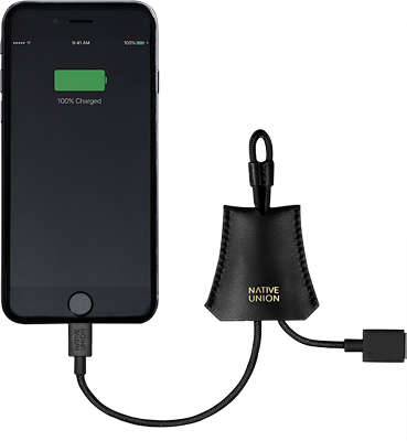 Кабель-брелок Native Union Lightning Tag Cable Leather Pouch Black [TAG-L-BLK]