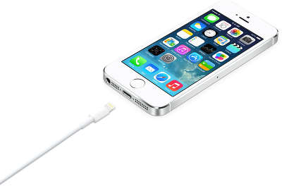 Кабель Apple Lightning to USB Cable, 2 м [MD819ZM/A]