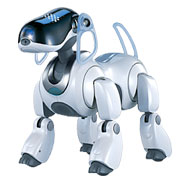 AIBO: робот лучший друг человека