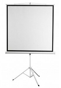 Digis Kontur-D [DSKD-1103] Экран на штативе, формат 1:1, 84