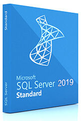 ПО Microsoft SQL Server Standard 2019 English DVD 10 Clt (228-11548)
