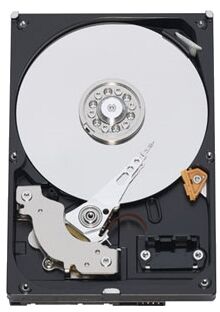 Жесткий диск Western Digital Blue HDD 3.5