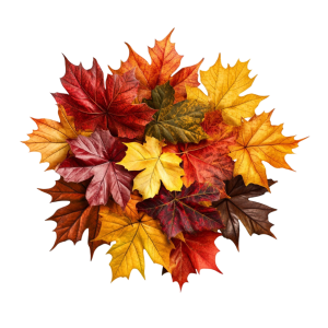 Выгодные предложения этой осени