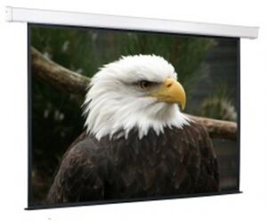 Экран с электроприводом ScreenMedia Champion формат 274*366см (180'') 4:3 MW