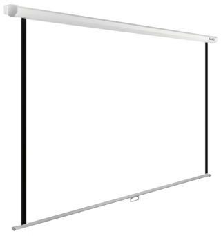 Экран Cactus WallExpert CS-PSWE-220x220-WT 220x220 см 1:1 настенно-потолочный рулонный