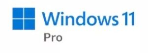 Microsoft Windows 11 [FQC-10547] Лицензия Windows 11 Pro 64-bit Russian 1pk DSP OEI DVD (FQC-10547)
