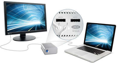 Коммутатор LaCie eSATA Hub Thunderbolt Series [9000186]