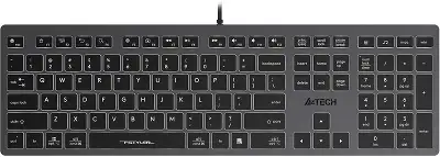 Клавиатура A4Tech Fstyler FX60 серый USB slim LED (FX60 GREY / WHITE)