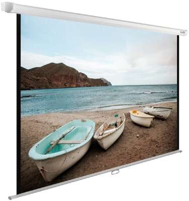 Экран Cactus WallExpert CS-PSWE-220x138-WT 138x220 см 16:10 настенно-потолочный рулонный белый