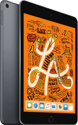 Планшетный компьютер Apple iPad mini 2019 [MUQW2RU/A] 64GB Wi-Fi Space Gray