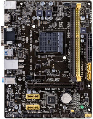 Мат. плата AMD 64 Asus AM1M-A