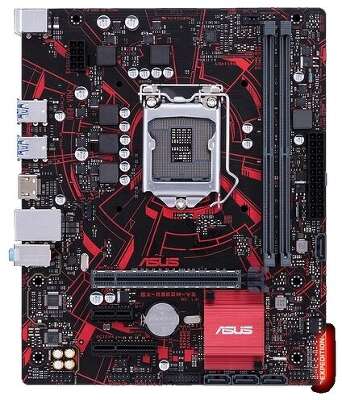 Материнская плата microATX LGA1151 ASUS EX-B360M-V3