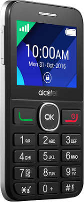 Мобильный телефон Alcatel 2008G, Black+Metal Silver