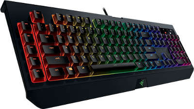 Клавиатура USB Razer BlackWidow Chroma V2 (Green Switch)