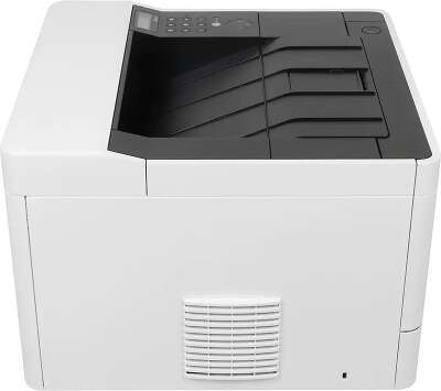 Kyocera P2040dn (1102RX3NL0)