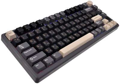 Клавиатура Royal Kludge RK-M75 Phantom (USB/2.4 GHz/Bluetоoth, RGB, Hot Swap, Brown switch)