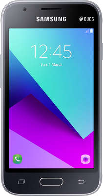 Смартфон Samsung SM-J106 Galaxy J1 mini Prime, черный (SM-J106FZKDSER)