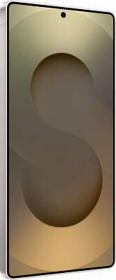 Смартфон Samsung SM-S938B Galaxy S25 Ultra 12/512GB, серый титан (SM-S938BZTCCAU)
