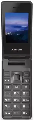 Мобильный телефон Xenium X600, темно-серый