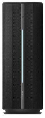 Акустическая система Xiaomi Bluetooth Speaker, 40W (QBH4275GL)