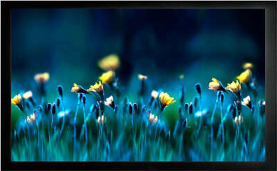 Экран на раме Cactus 113x200см FrameExpert CS-PSFRE-200X113