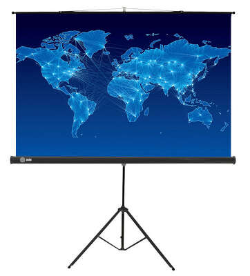 Экран Cactus 150x150см Triscreen CS-PST-150x150 1:1 напольный рулонный черный