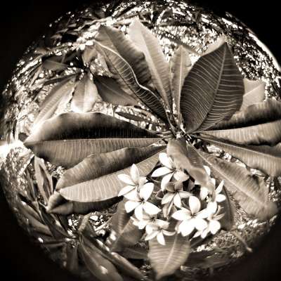 Объектив Lensbaby Muse Double Glass для Canon