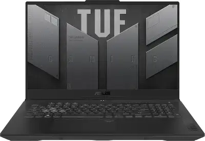 Ноутбук ASUS TUF Gaming F17 FX707ZC4-HX095 17.3" FHD IPS i5-12500H/16/512Gb SSD/RTX 3050 4G/Без OC серый