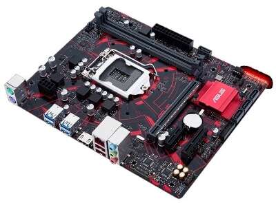 Материнская плата microATX LGA1151 ASUS EX-B360M-V3