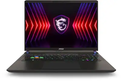 Ноутбук MSI Vector 16 HX A14VHG-831XRU Core i9 14900HX 16Gb SSD1Tb NVIDIA GeForce RTX4080 12Gb 16