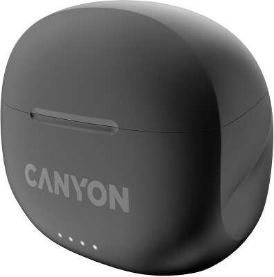 Гарнитура внутриканальные Canyon TWS-8 черный беспроводные bluetooth в ушной раковине (CNS-TWS8B)