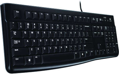 Клавиатура USB Logitech K120 (920-002506)