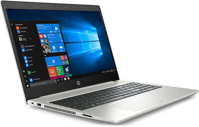 Ноутбук HP ProBook 450 G7 15.6" FHD i5 10210U/16/512 SSD/WF/BT/Cam/DOS (6YY26AV)