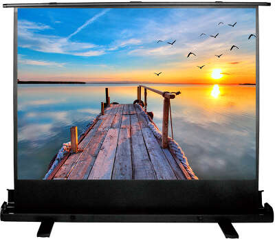 Экран напольный Cactus 113x200см FloorExpert CS-PSFLE-200X113
