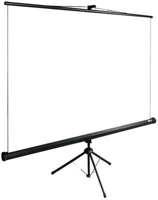 Экран Cactus 200x200см TriExpert CS-PSTE-200x200-BK 1:1 напольный рулонный черный