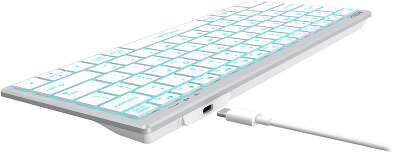 Клавиатура A4Tech Fstyler FX61 белый USB slim LED (FX61 WHITE)