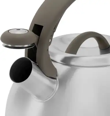 Чайник металлический Rondell Balance RDS-434 3л. стальной