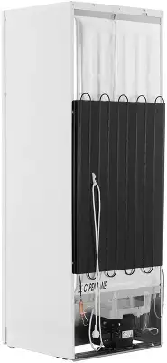 Холодильник TIA 16 E 869892900050 INDESIT