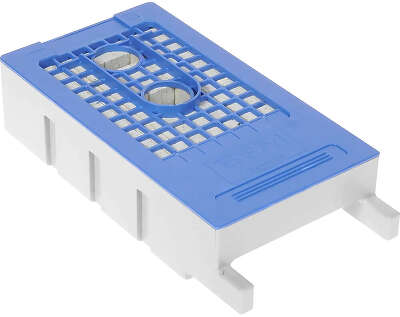 Epson C13T619300