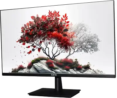 Монитор RDW Computers 27" RDW2701K черный IPS 5ms 16:9 HDMI M/M матовая 1000:1 250cd 178гр/178гр 1920x1080 75Hz VGA DP FHD (RUS)