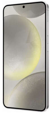 Смартфон Samsung Galaxy S24, Samsung Exynos 2400, 8Gb RAM, 128Gb, серый (SM-S921BZABMEA)