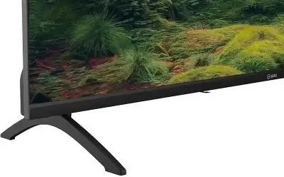 Телевизор LED Sber 43