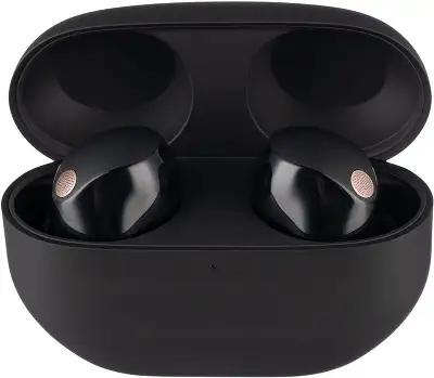 Гарнитура внутриканальные Sony WF-1000XM5 черный беспроводные bluetooth в ушной раковине (WF-1000XM5/BC)